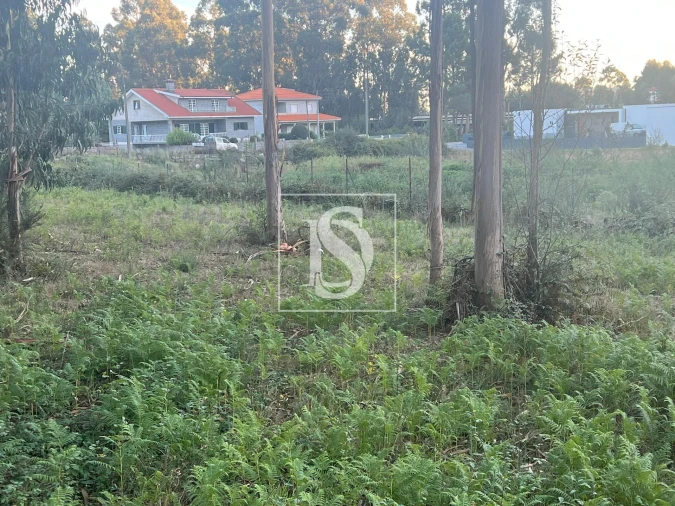 Terreno para Venda em Eiriz Foto 6