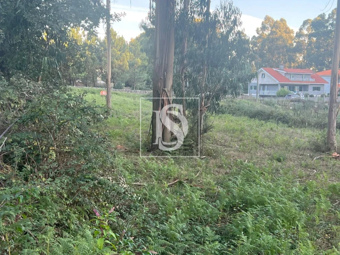 Terreno para Venda em Eiriz Foto 4