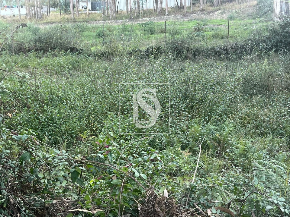 Terreno para Venda em Eiriz Foto 7