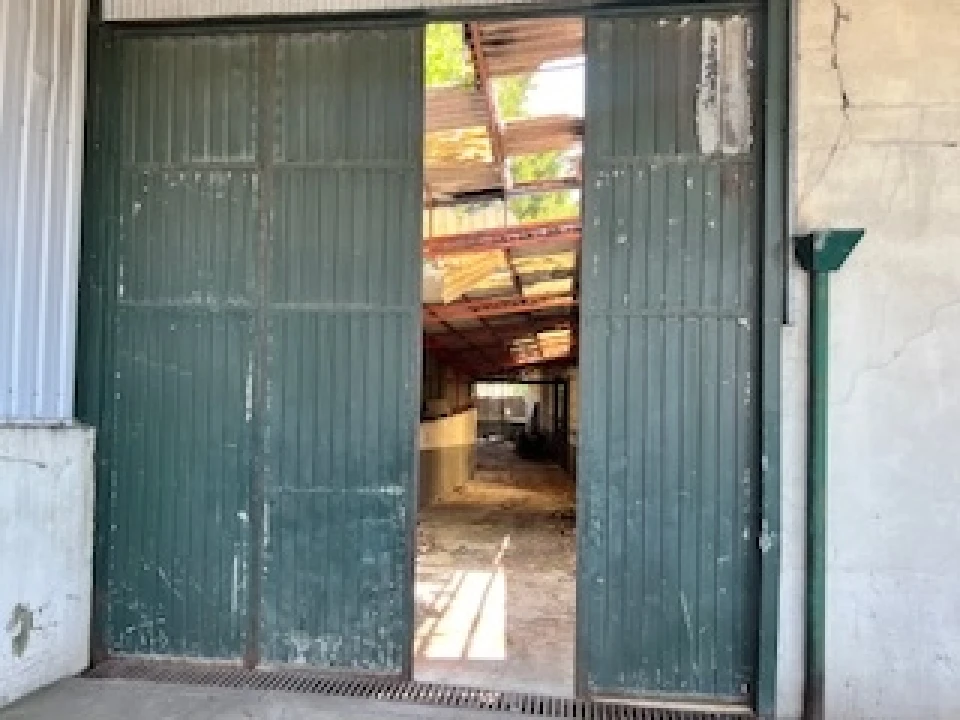 Armazém para Venda em Carvalhosa Foto 2