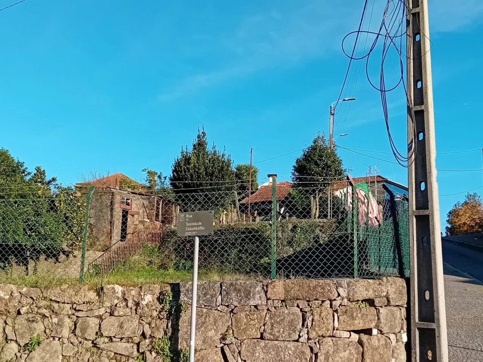 Terreno para Venda em Freamunde Foto 6