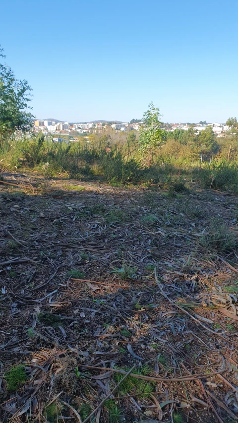 Terreno para Venda em Freamunde