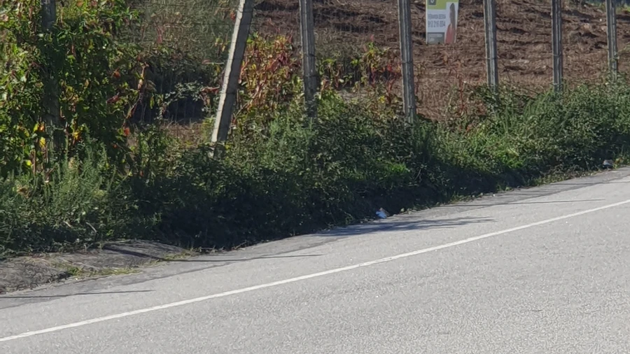 Terreno para Venda em Freamunde