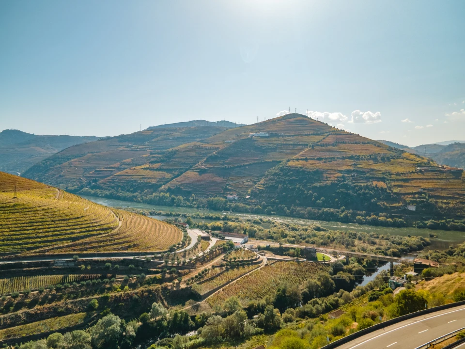Quinta T4 para Venda em Peso da Régua e Godim Foto 5