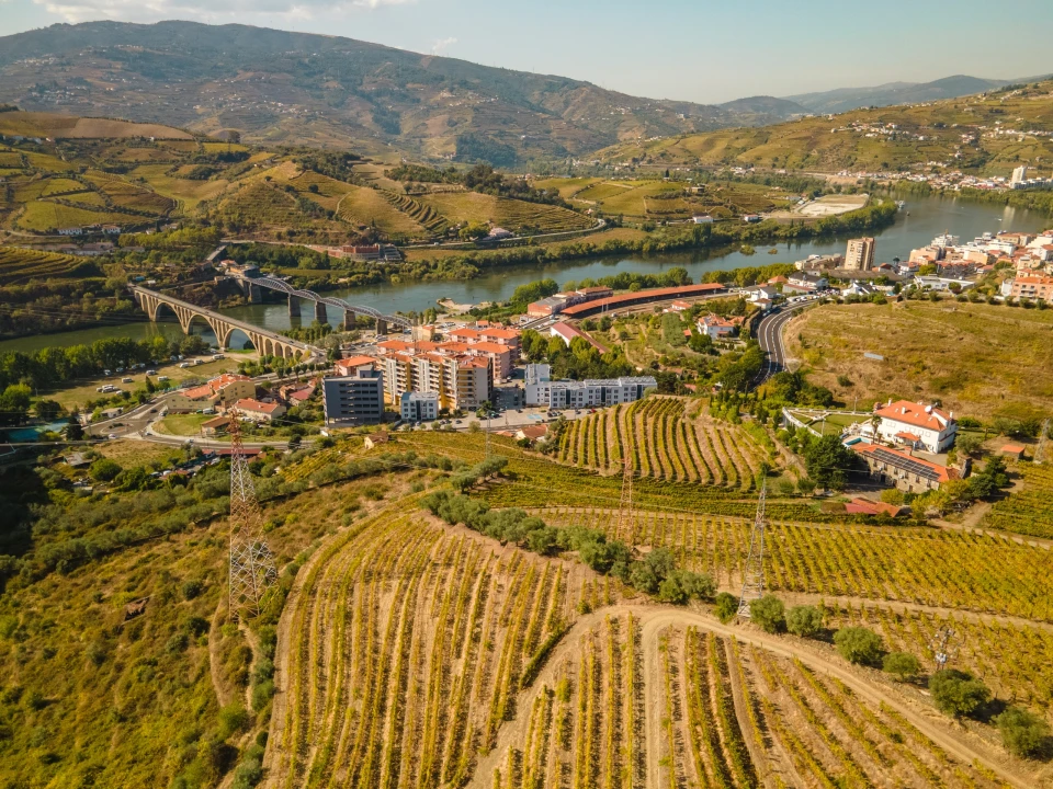 Quinta T4 para Venda em Peso da Régua e Godim Foto 9