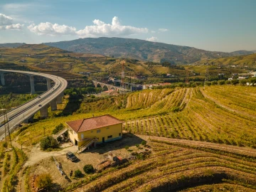 Quinta T4 para Venda em Peso da Régua e Godim