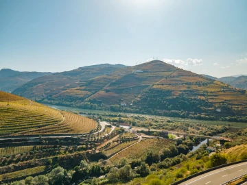 Quinta T4 para Venda em Peso da Régua e Godim