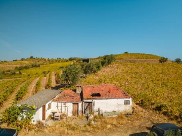 Quinta T4 para Venda em Peso da Régua e Godim