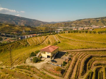 Quinta T4 para Venda em Peso da Régua e Godim