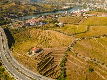 Quinta T4 para Venda em Peso da Régua e Godim