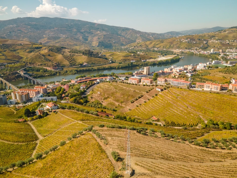 Quinta T4 para Venda em Peso da Régua e Godim Foto 8