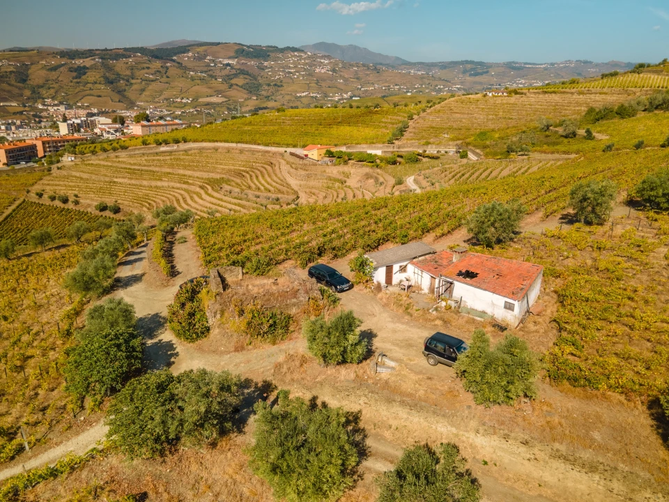 Quinta T4 para Venda em Peso da Régua e Godim Foto 15