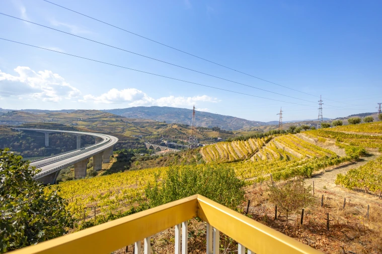 Quinta T4 para Venda em Peso da Régua e Godim Foto 4