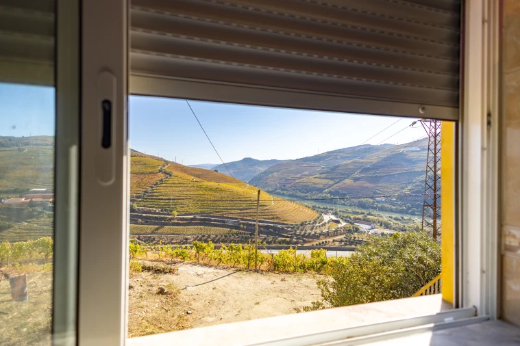 Quinta T4 para Venda em Peso da Régua e Godim Foto 13