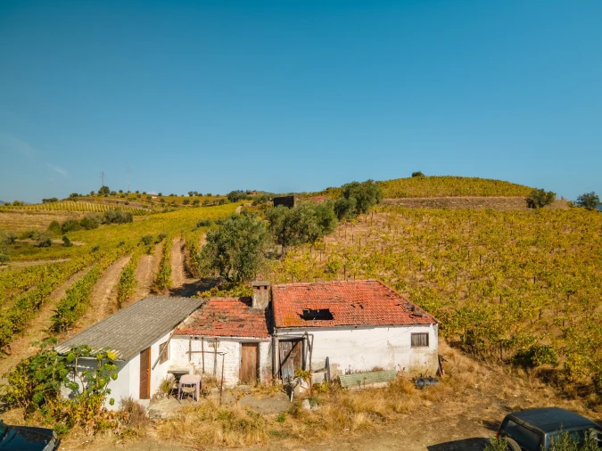 Quinta T4 para Venda em Peso da Régua e Godim Foto 17