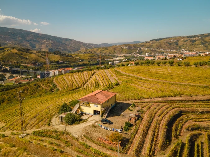 Quinta T4 para Venda em Peso da Régua e Godim Foto 7