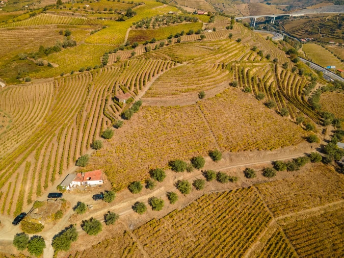Quinta T4 para Venda em Peso da Régua e Godim Foto 14