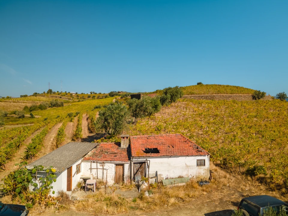 Quinta T4 para Venda em Peso da Régua e Godim Foto 17