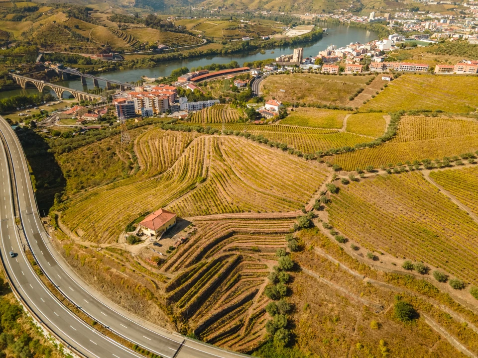 Quinta T4 para Venda em Peso da Régua e Godim Foto 16