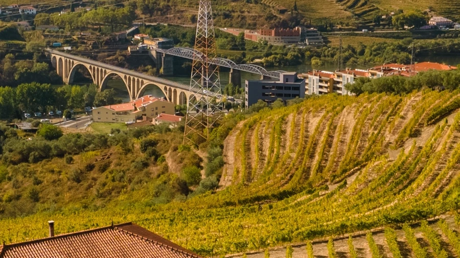 Quinta T4 para Venda em Peso da Régua e Godim