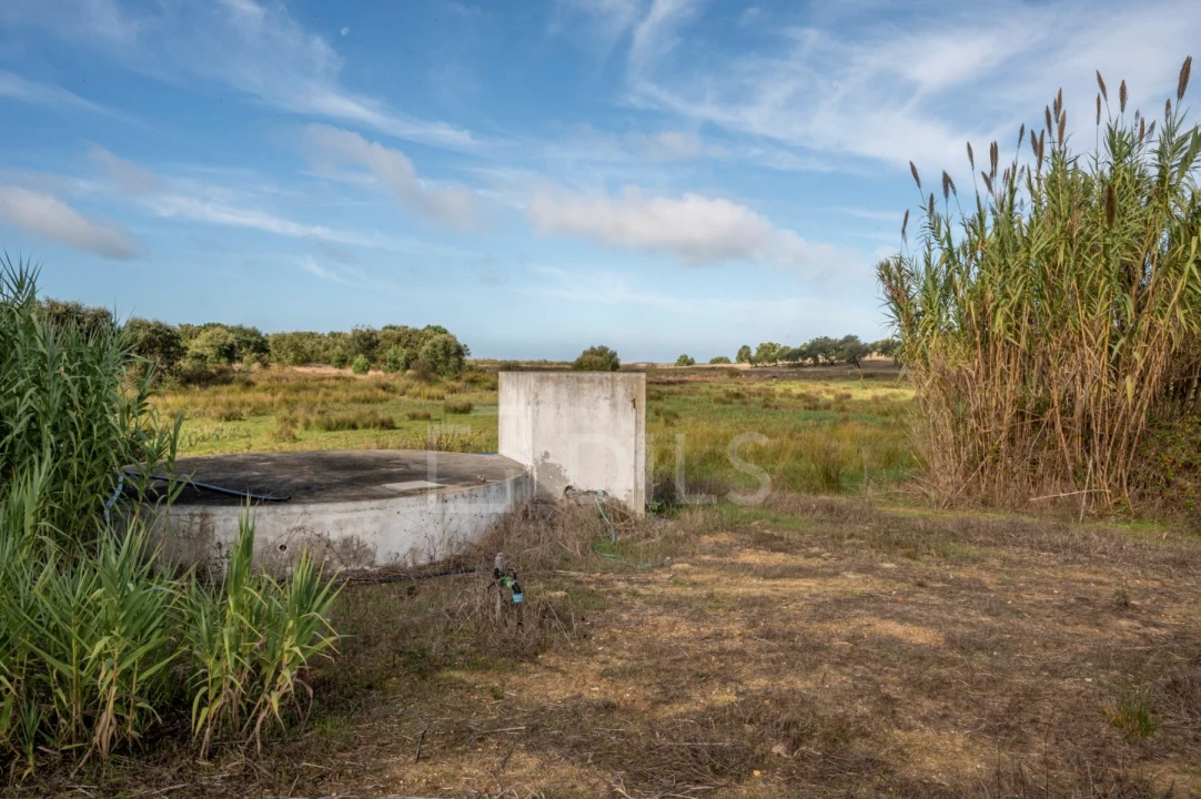 Quinta T3 para Venda em Santo Andre Foto 10