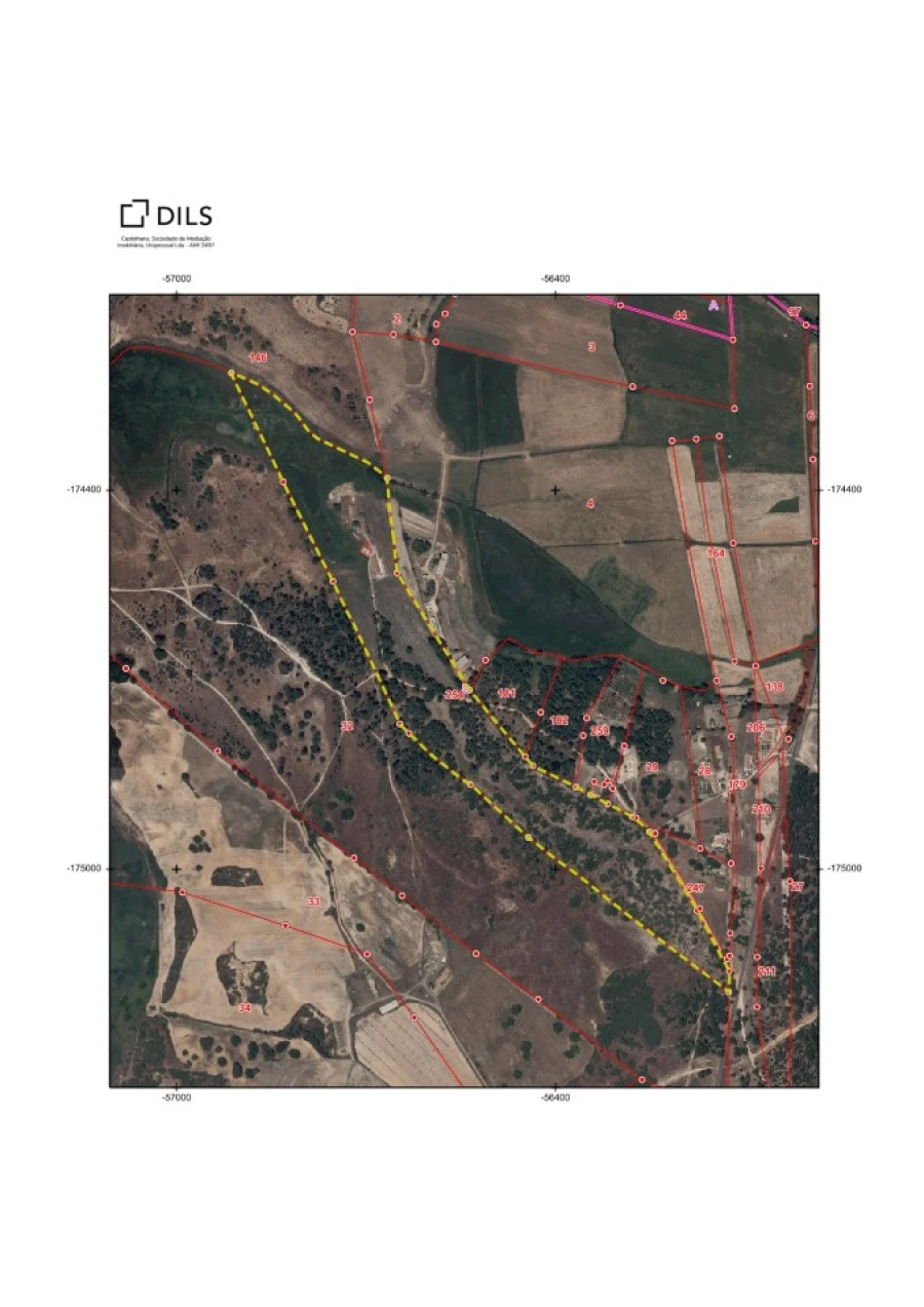 Quinta T3 para Venda em Santo Andre Planta 1