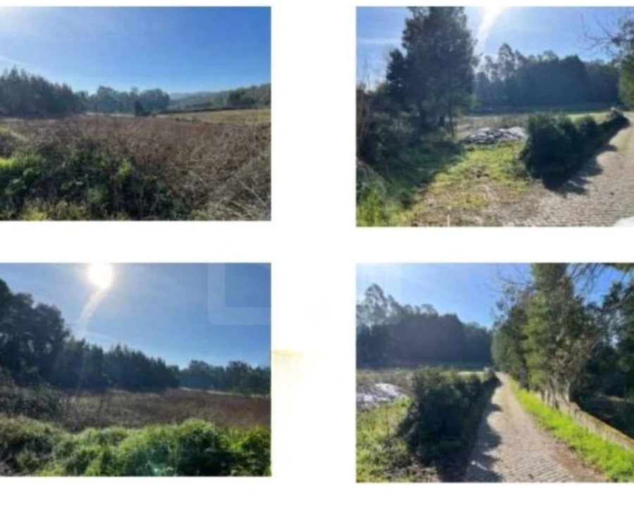 Terreno Agricola ou Rústico para Venda em Bougado (São Martinho e Santiago) Foto 1