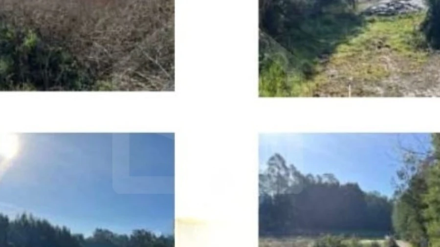 Terreno Agricola ou Rústico para Venda em Bougado (São Martinho e Santiago)