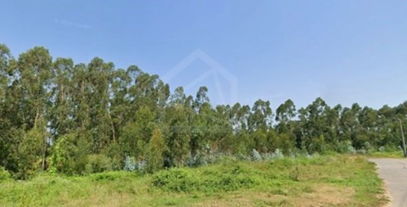 Terreno para Venda em Angeja Foto 1