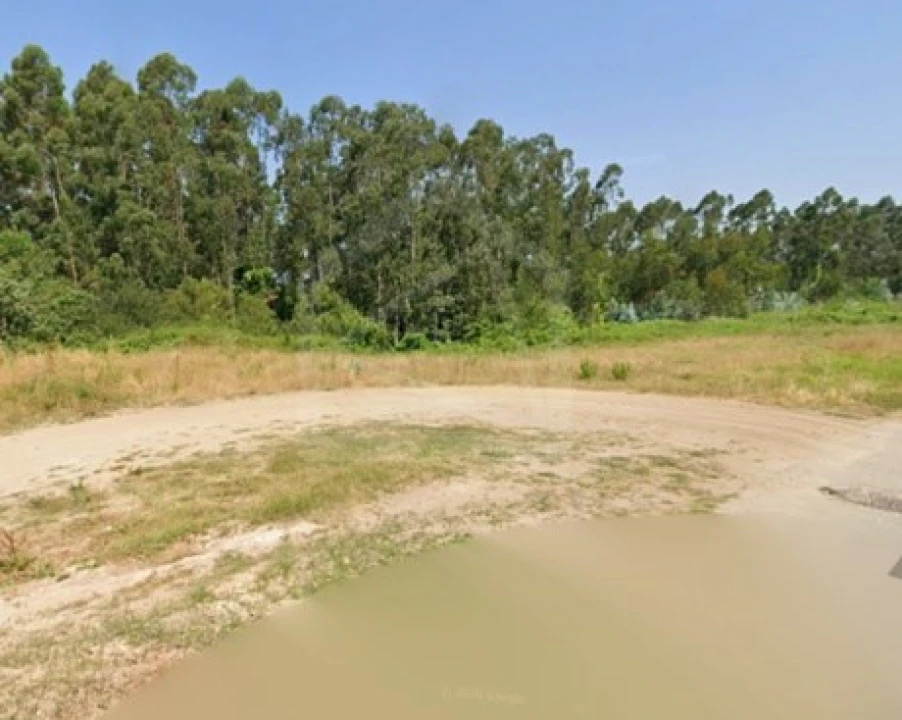 Terreno para Venda em Angeja Foto 3