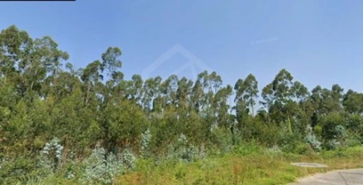 Terreno para Venda em Angeja