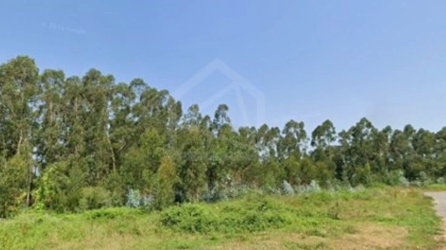Terreno para Venda em Angeja