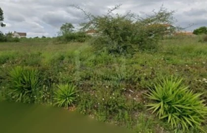 Terreno para Venda em Recardães e Espinhel