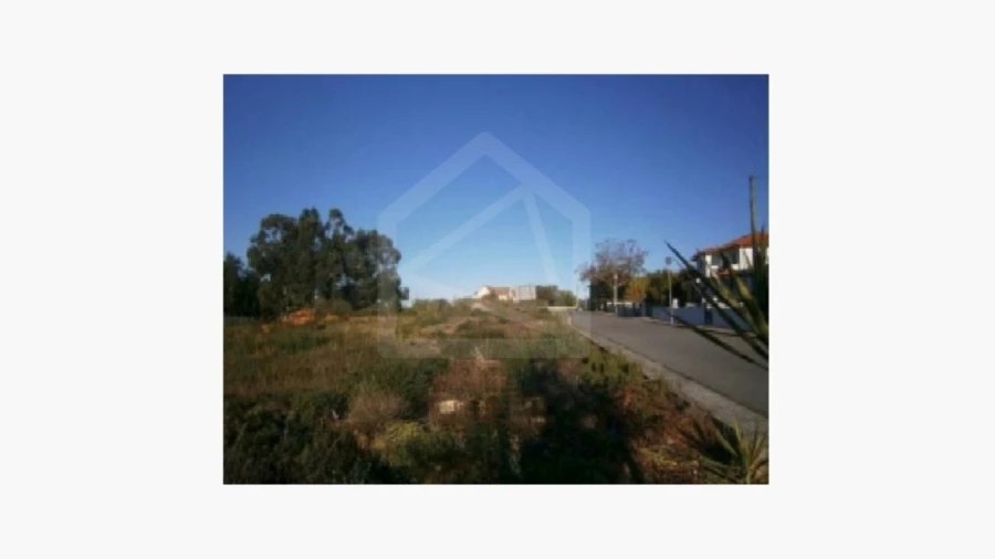 Terreno para Venda em Recardães e Espinhel Foto 4