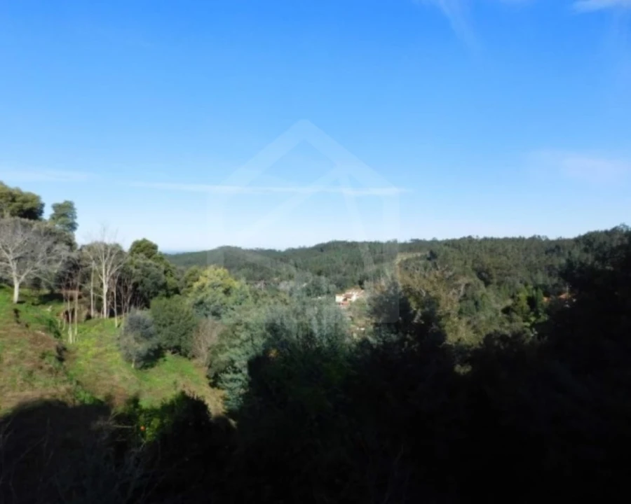 Terreno para Venda em Luso Foto 8