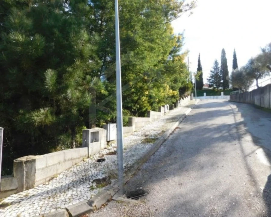 Terreno para Venda em Luso Foto 16