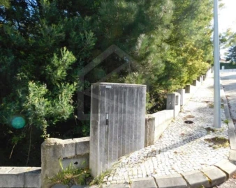 Terreno para Venda em Luso