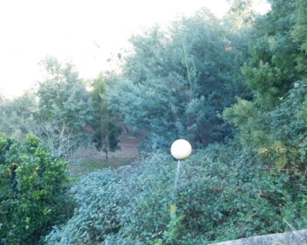 Terreno para Venda em Luso Foto 3