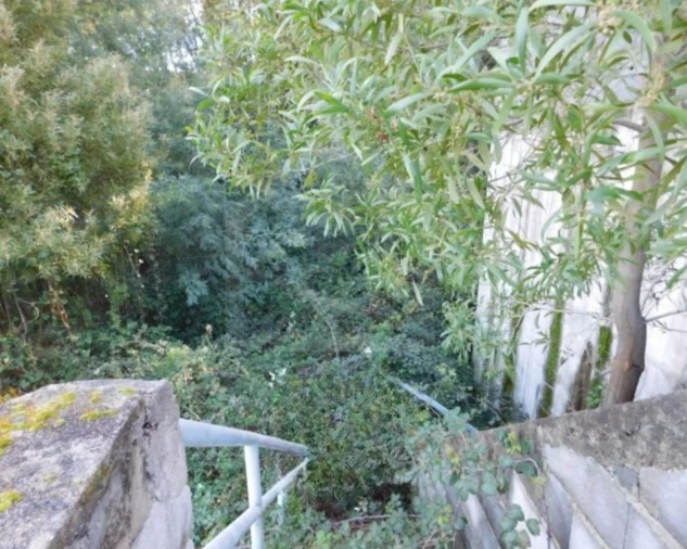 Terreno para Venda em Luso Foto 9