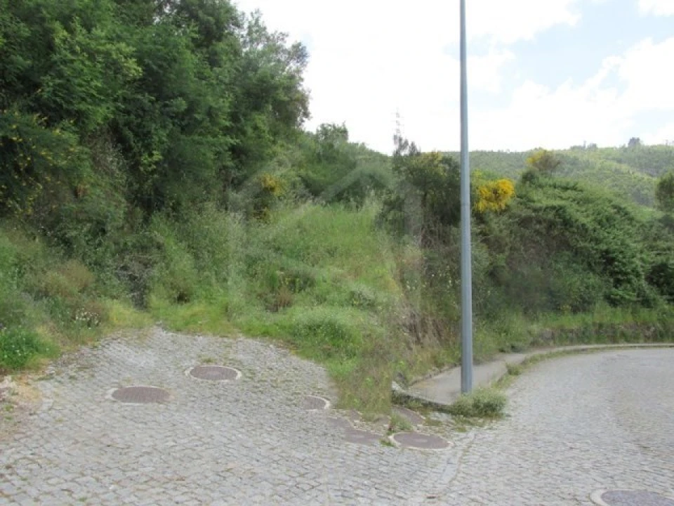 Terreno para Venda em São Tomé de Negrelos Foto 2