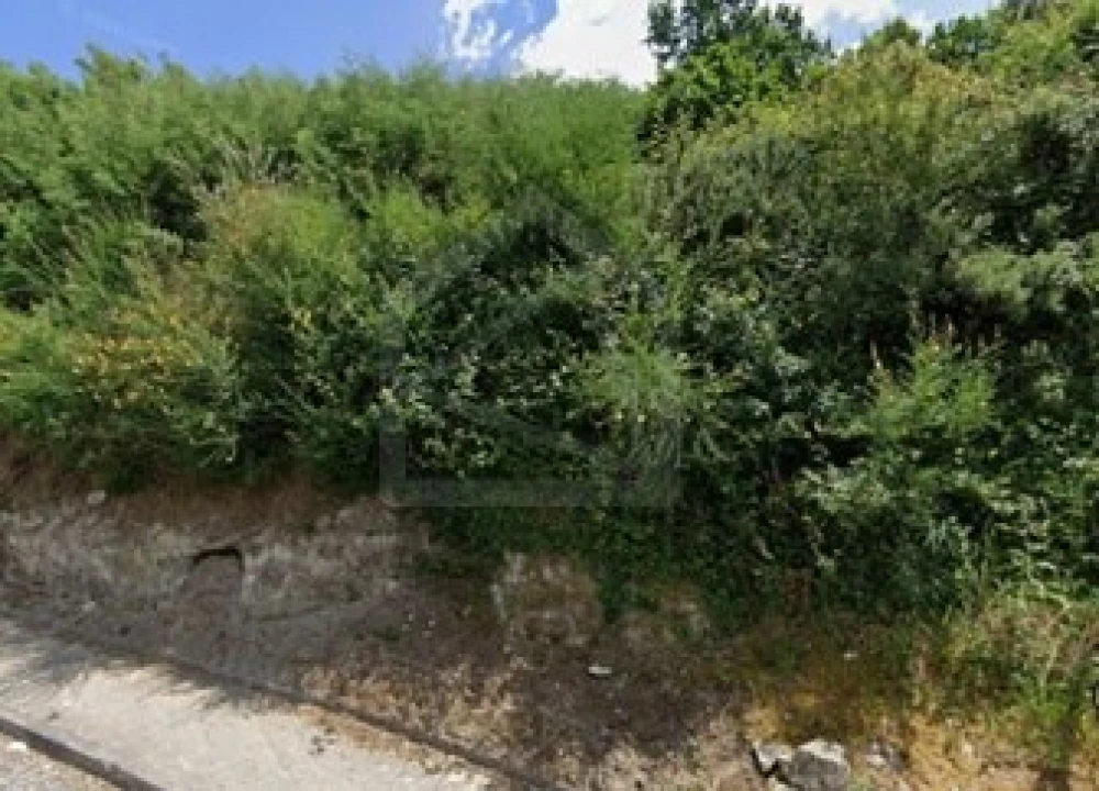 Terreno para Venda em São Tomé de Negrelos Foto 3