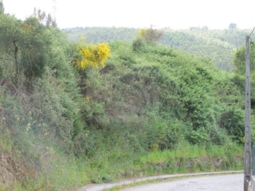Terreno para Venda em São Tomé de Negrelos