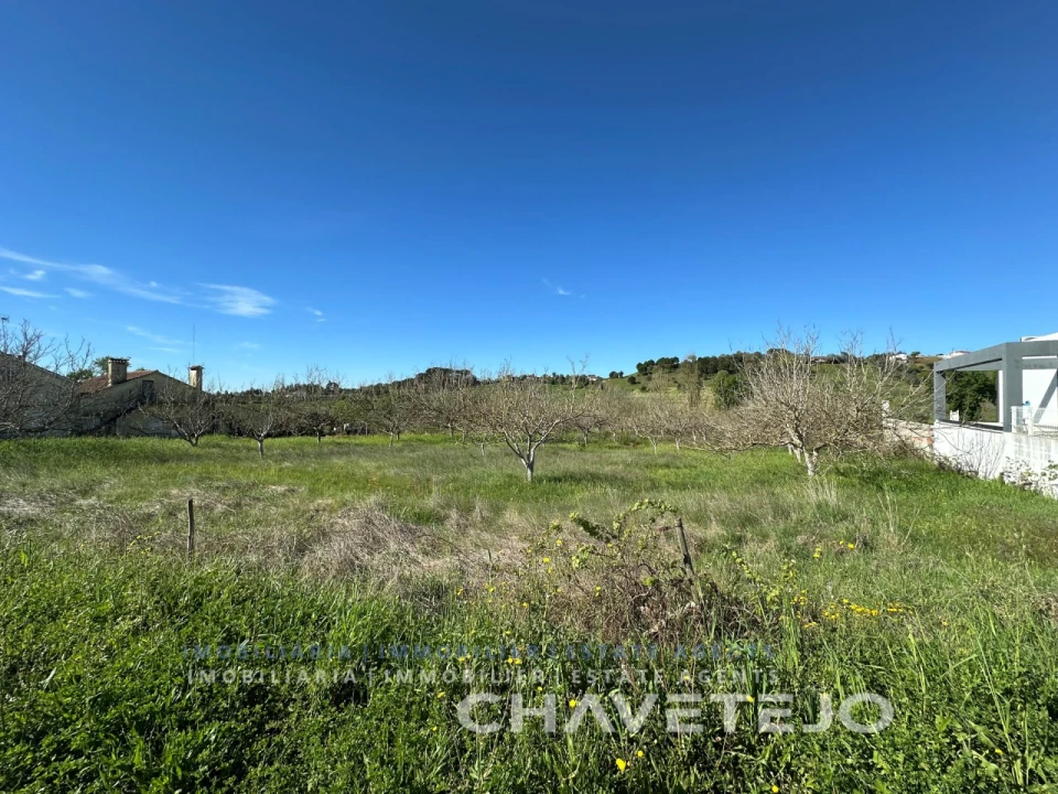 Terreno Agricola ou Rústico para Venda em São João Baptista e Santa Maria dos Olivais Foto 5