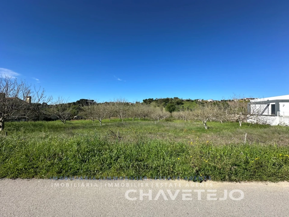 Terreno Agricola ou Rústico para Venda em São João Baptista e Santa Maria dos Olivais Foto 6