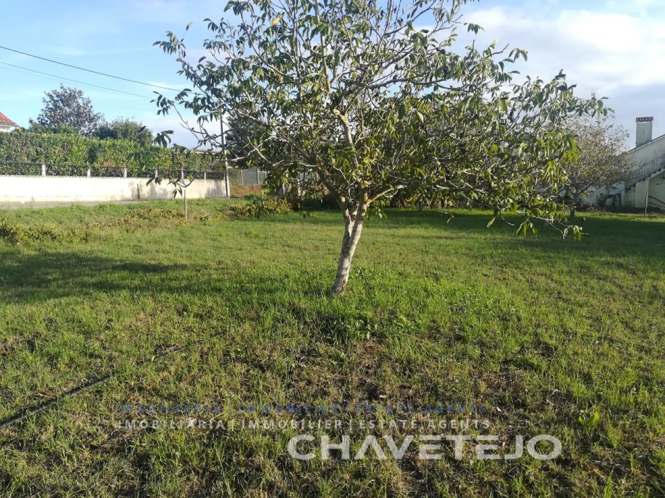 Terreno Agricola ou Rústico para Venda em São João Baptista e Santa Maria dos Olivais Foto 8