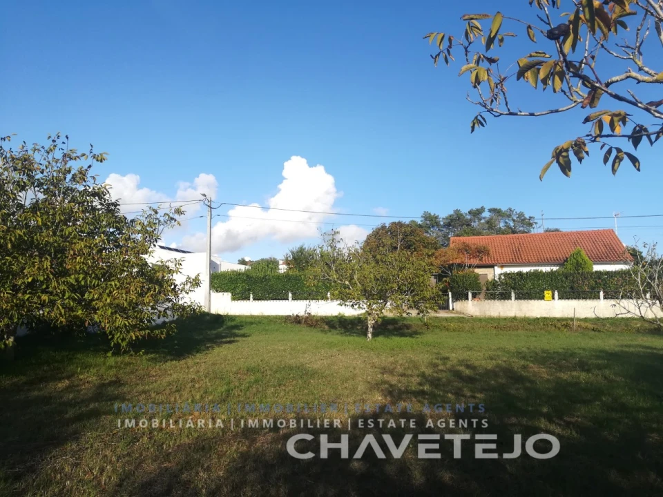 Terreno Agricola ou Rústico para Venda em São João Baptista e Santa Maria dos Olivais Foto 9