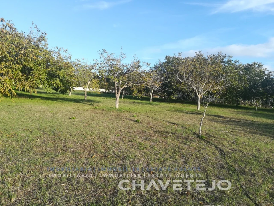 Terreno Agricola ou Rústico para Venda em São João Baptista e Santa Maria dos Olivais Foto 10