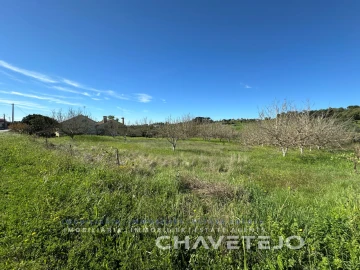 Terreno Agricola ou Rústico para Venda em São João Baptista e Santa Maria dos Olivais