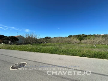 Terreno Agricola ou Rústico para Venda em São João Baptista e Santa Maria dos Olivais