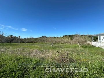 Terreno Agricola ou Rústico para Venda em São João Baptista e Santa Maria dos Olivais
